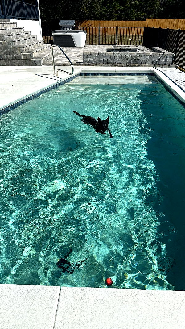 mckinley_1 image ~ Altpins