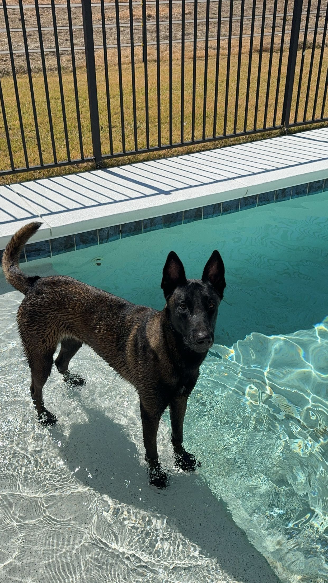 mckinley_1 snapchat image archive image