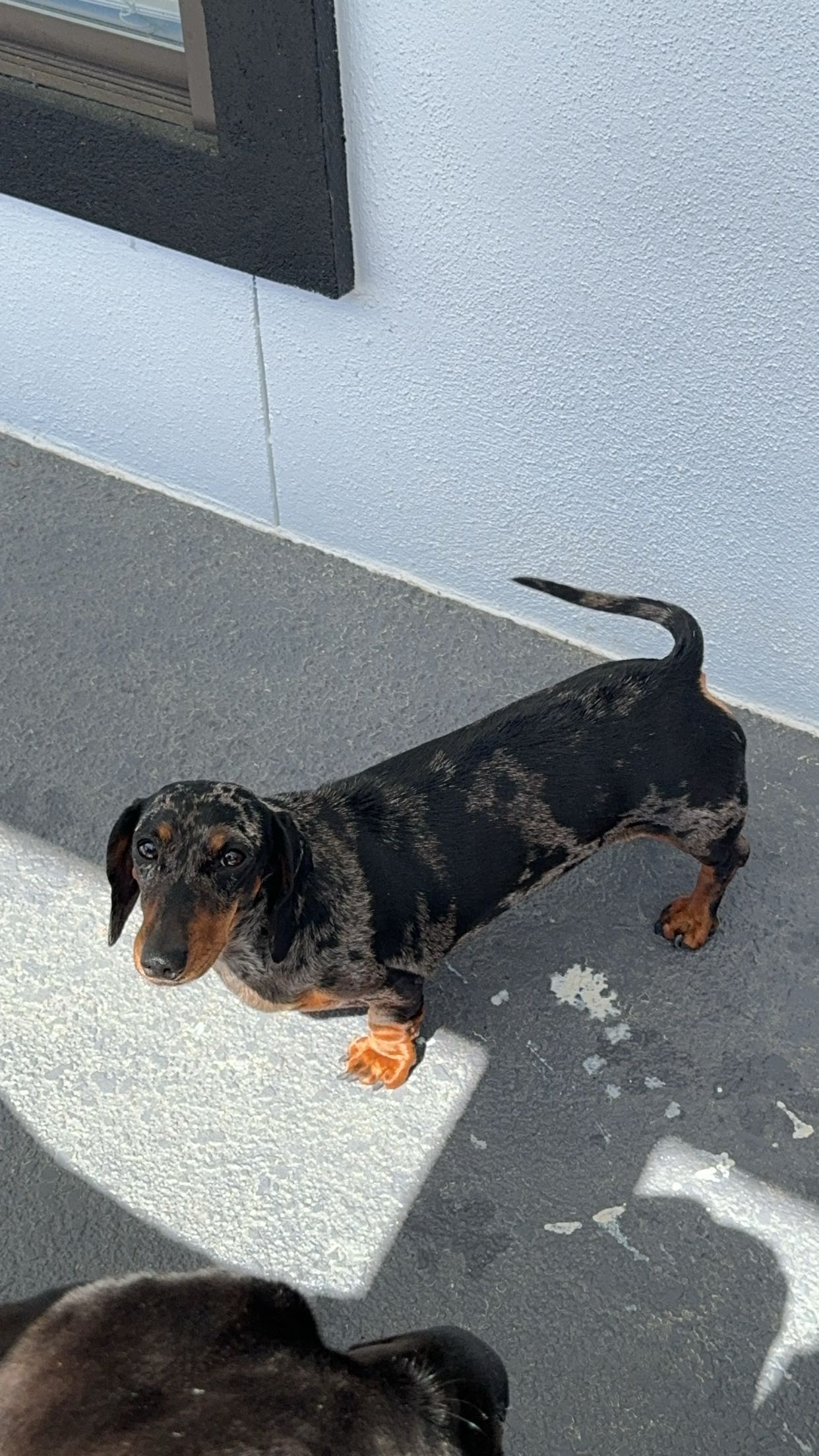 mckinley_1 snapchat image archive image