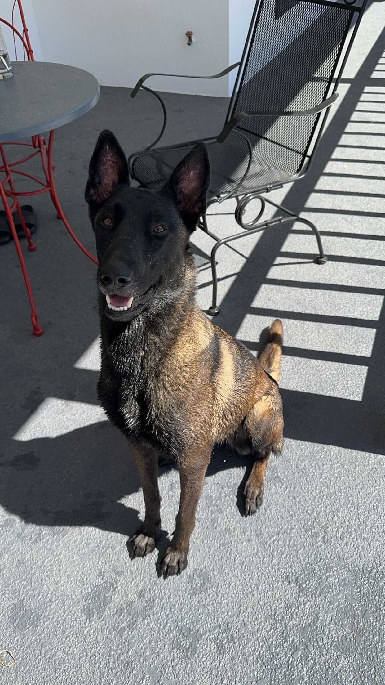 mckinley_1 snapchat image archive image