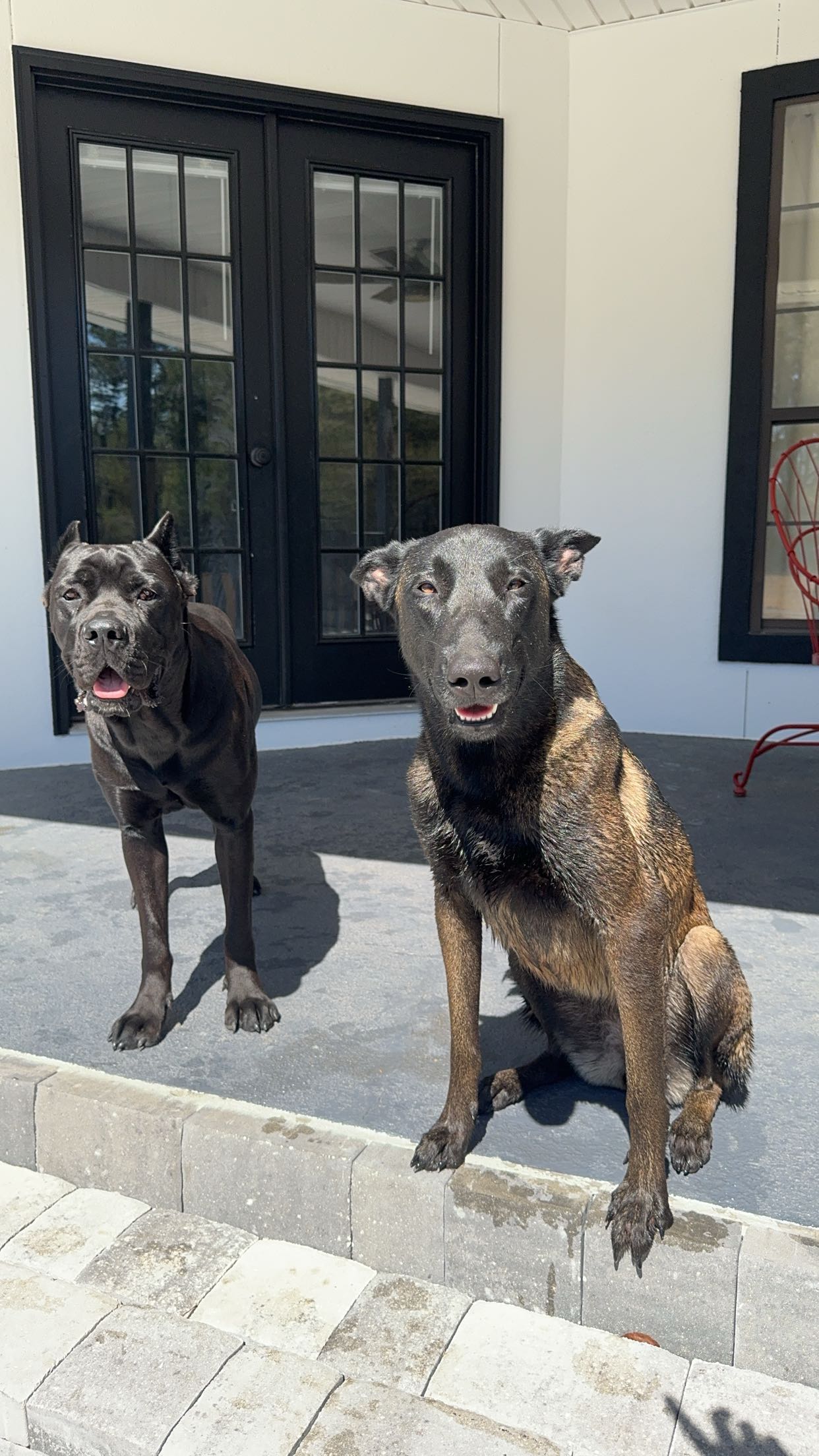 mckinley_1 snapchat image archive image