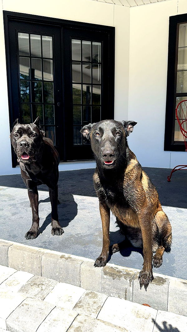 mckinley_1 image ~ Altpins