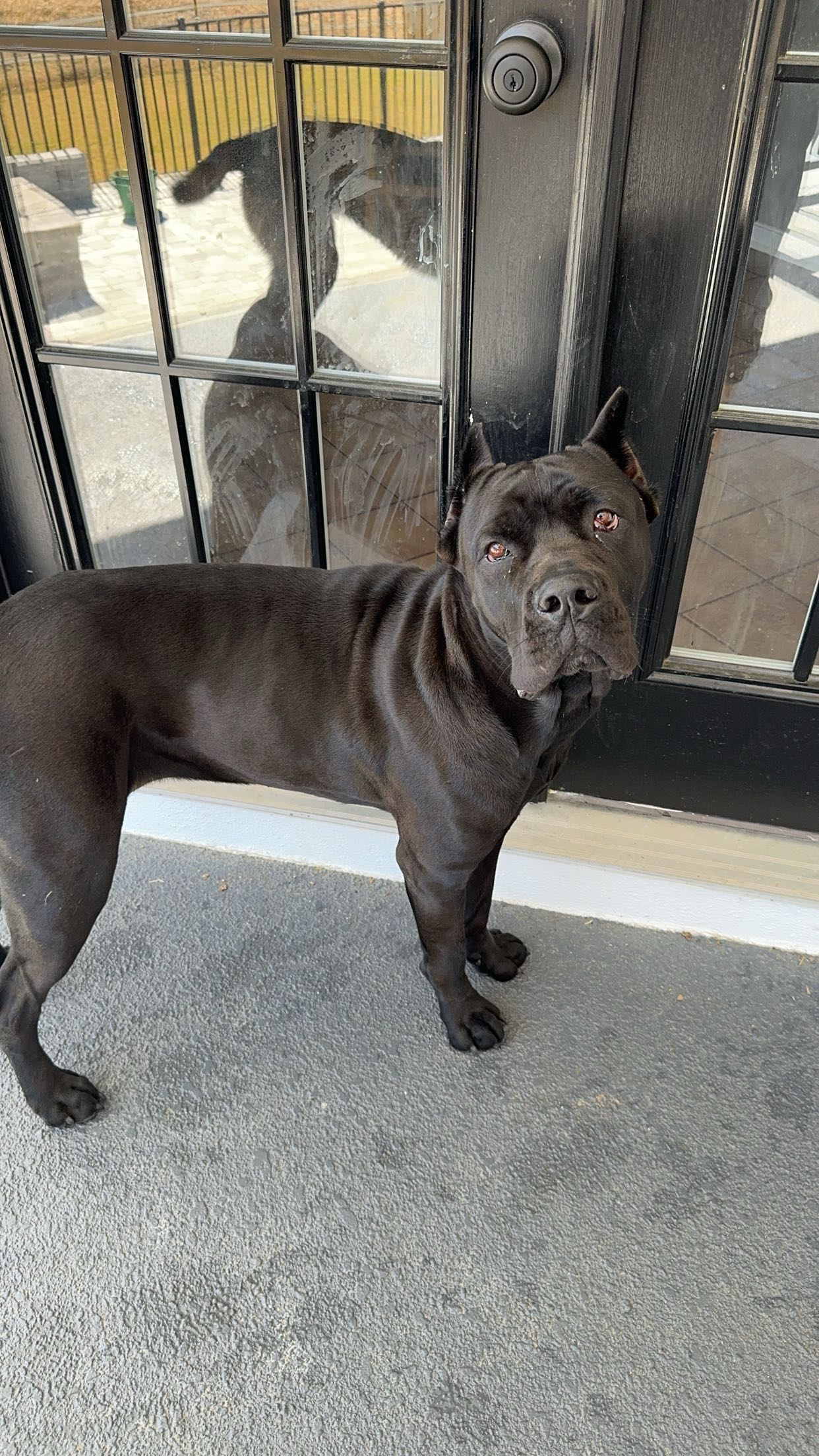 mckinley_1 snapchat image archive image