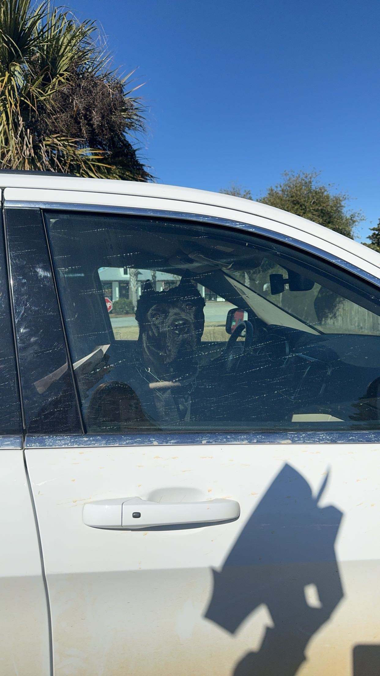 mckinley_1 snapchat image archive image