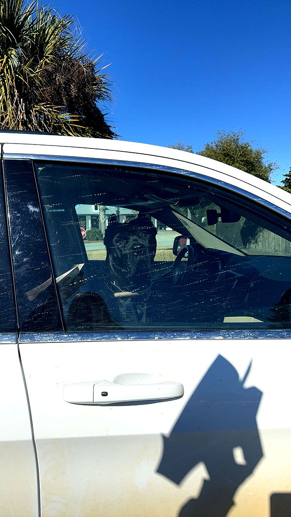 mckinley_1 image ~ Altpins