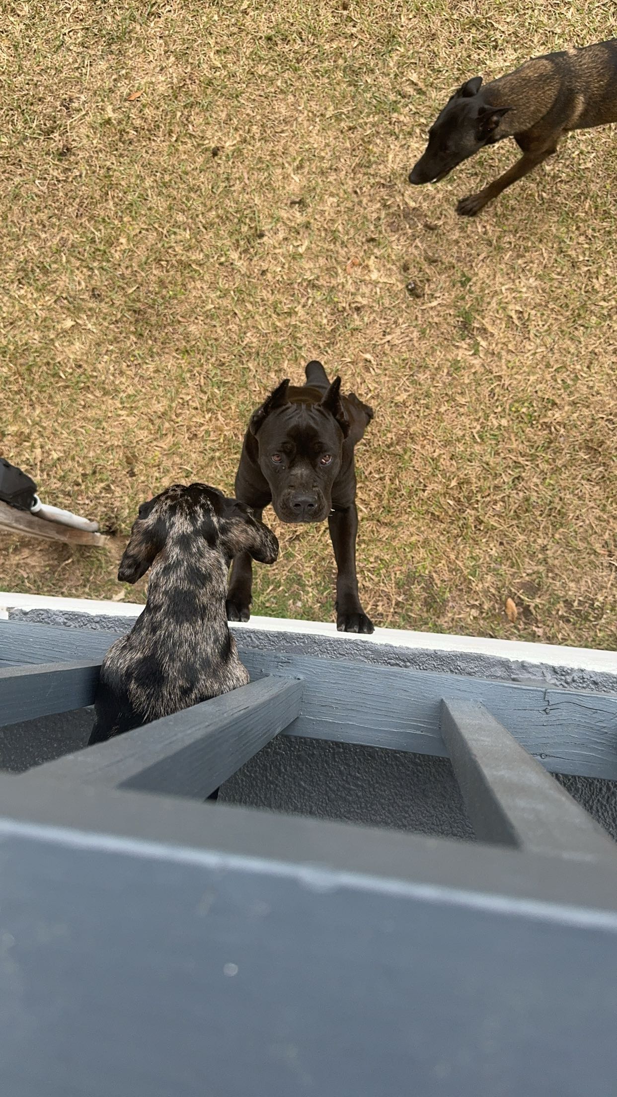 mckinley_1 snapchat image archive image