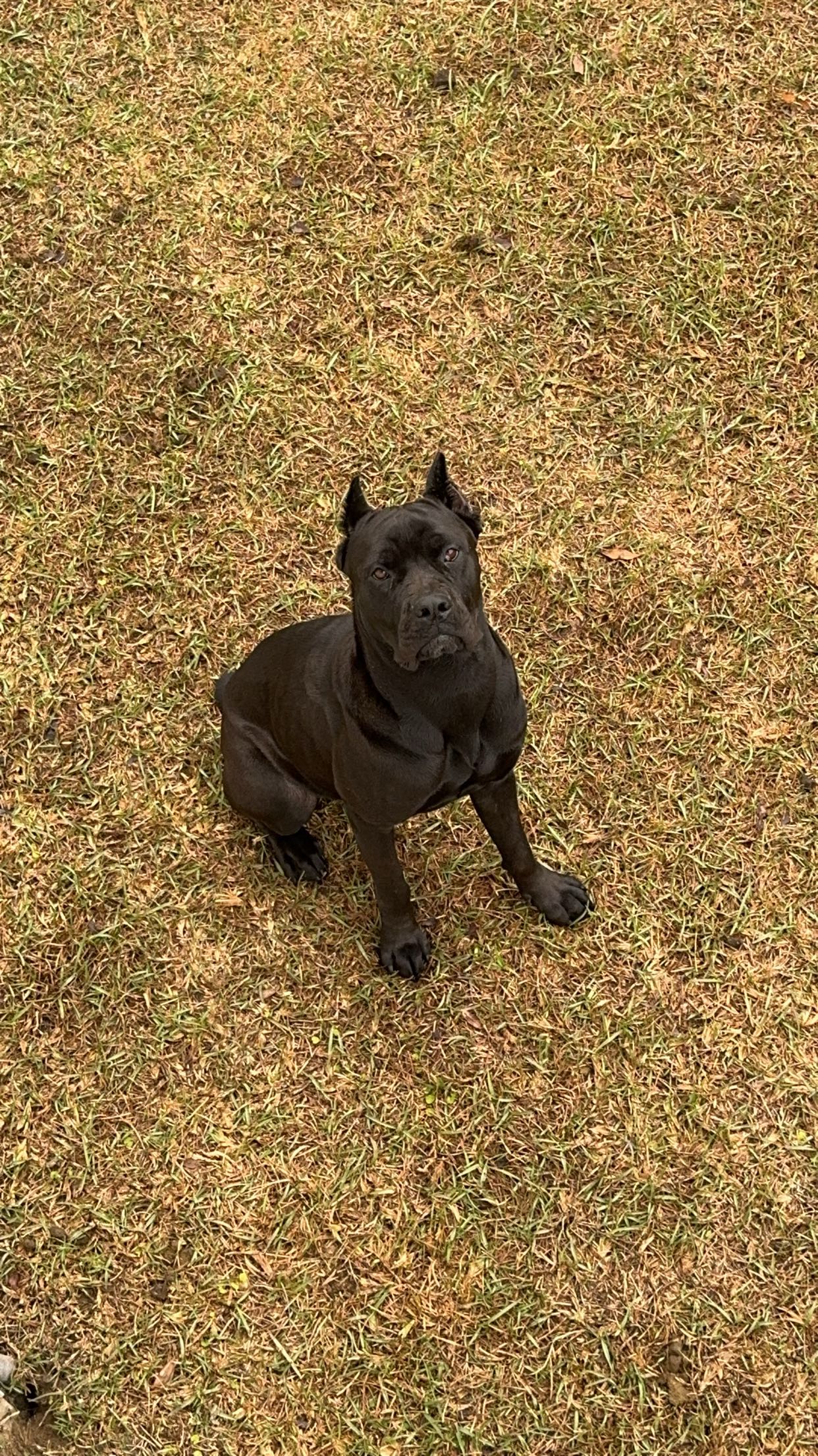 mckinley_1 snapchat image archive image