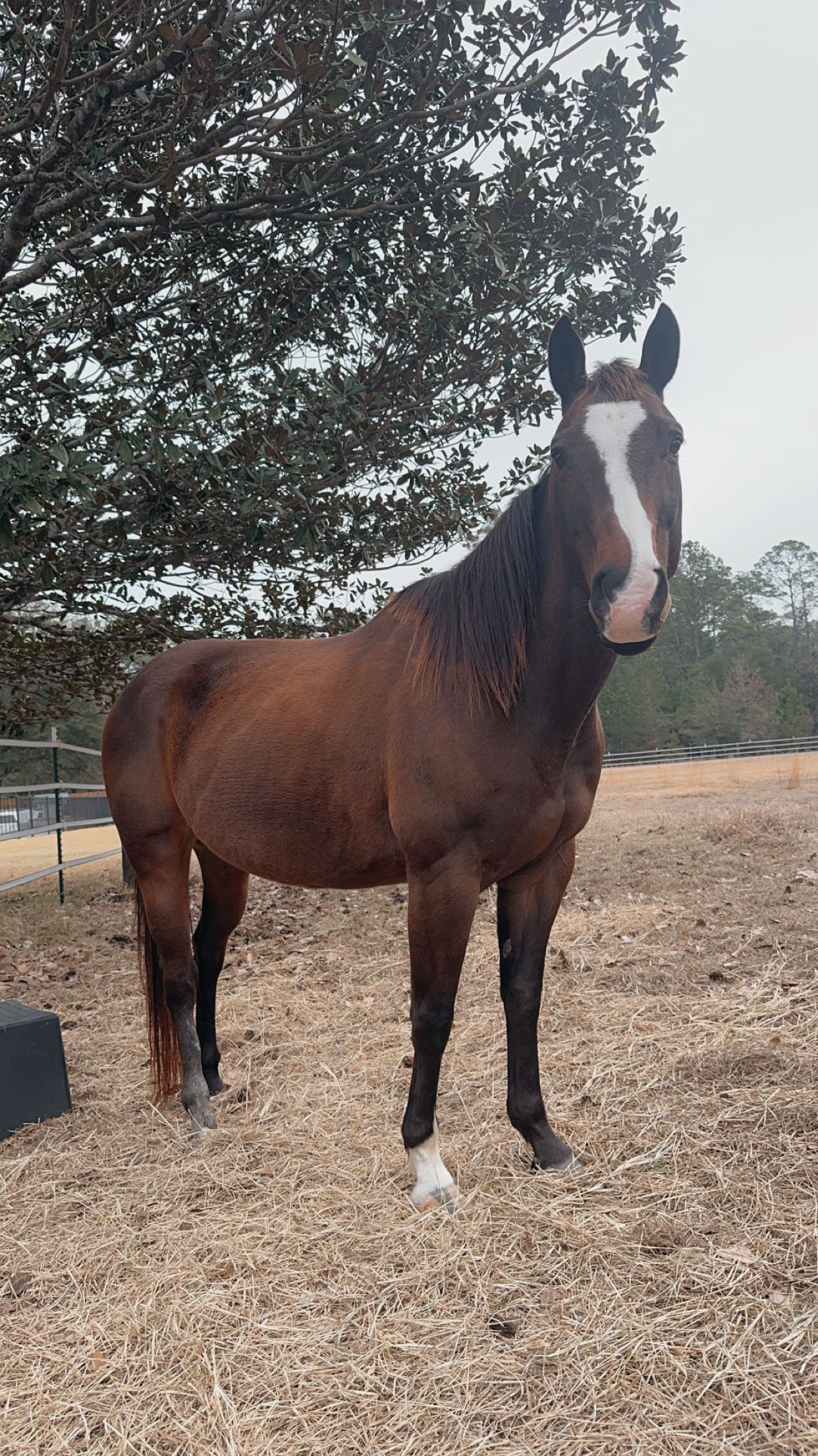 mckinley_1 snapchat image archive image