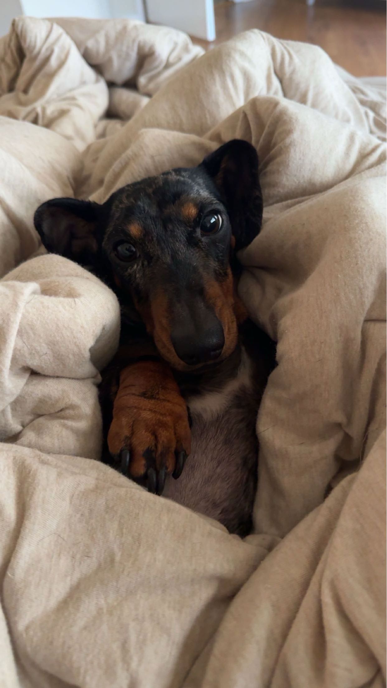 mckinley_1 snapchat image archive image