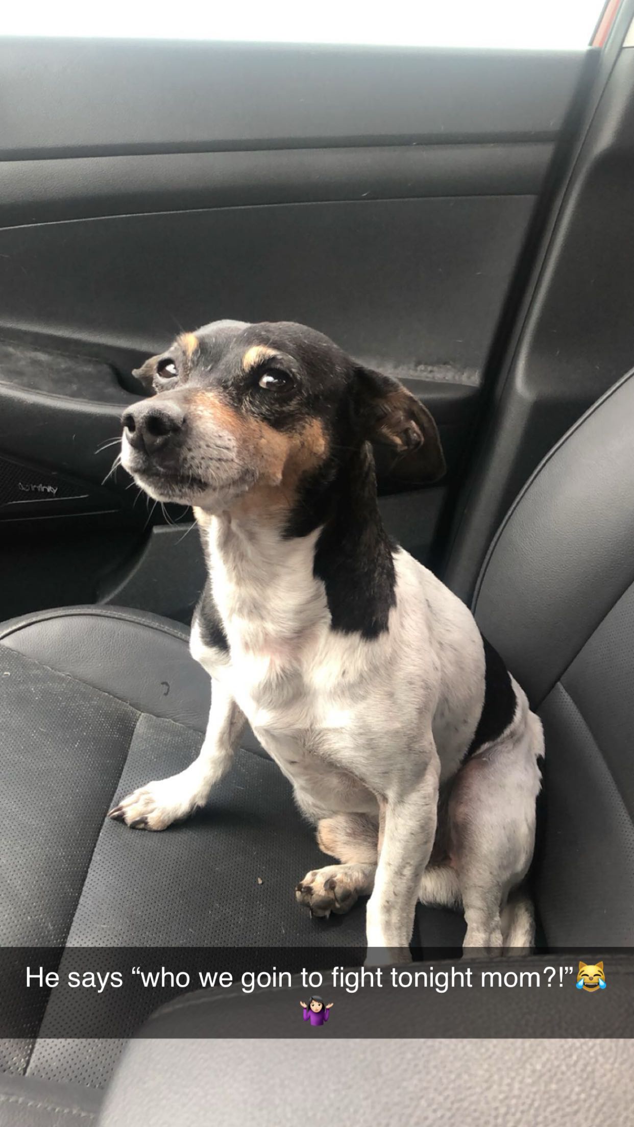 mckinley_1 snapchat image archive image