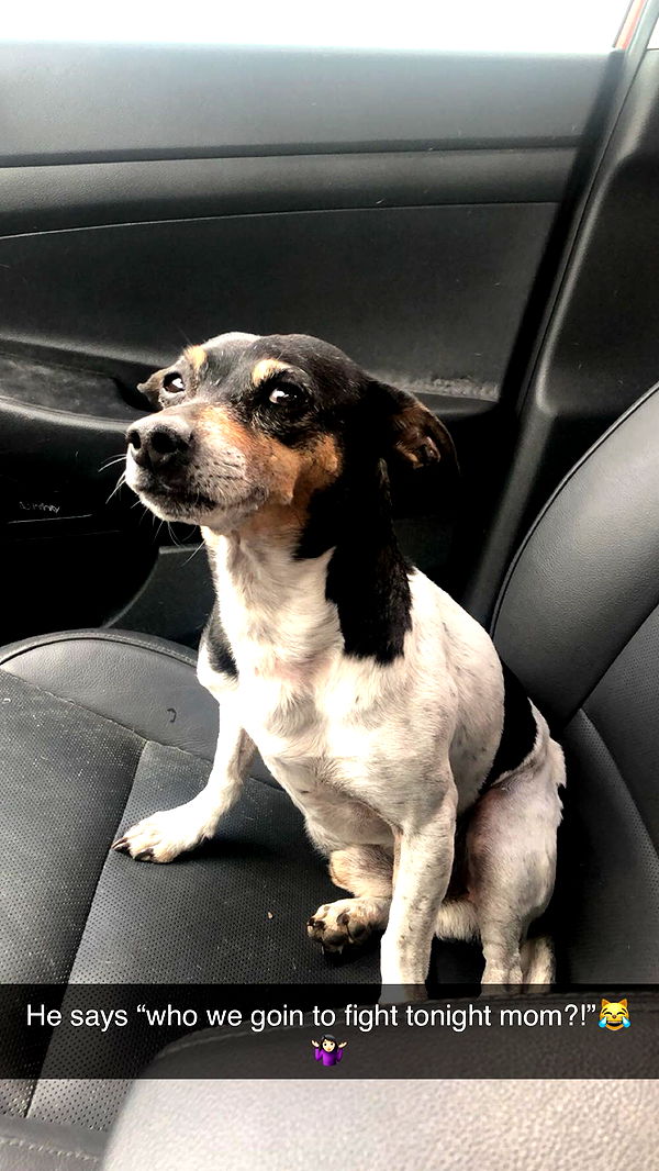 mckinley_1 image ~ Altpins