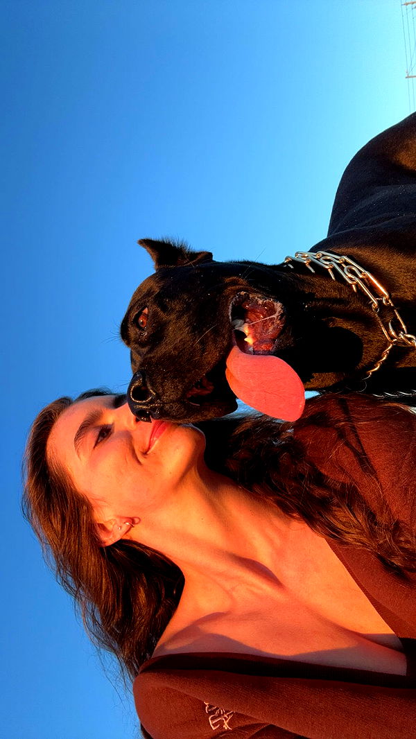 mckinley_1 image ~ Altpins