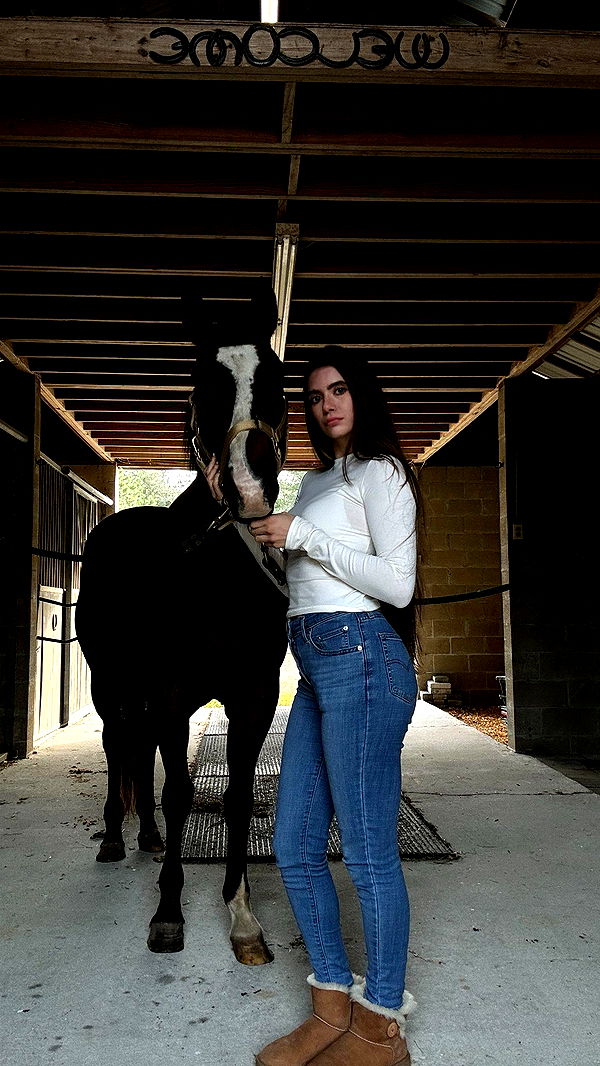 mckinley_1 image ~ Altpins