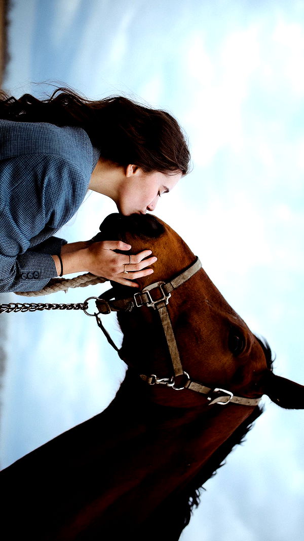 mckinley_1 image ~ Altpins