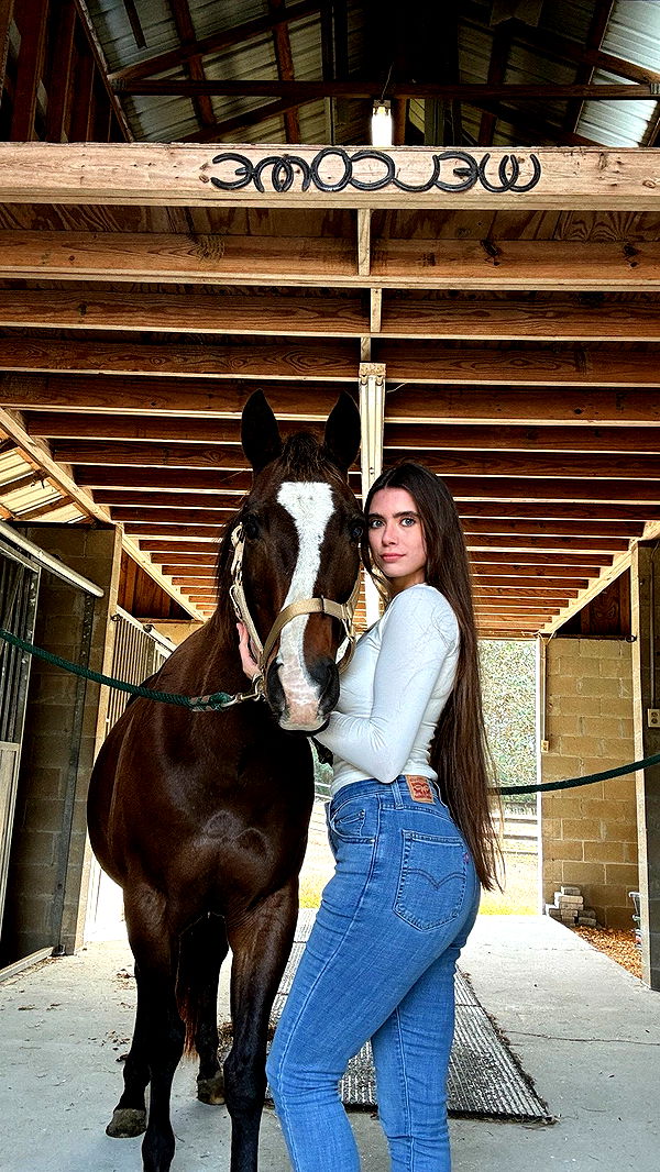 mckinley_1 image ~ Altpins