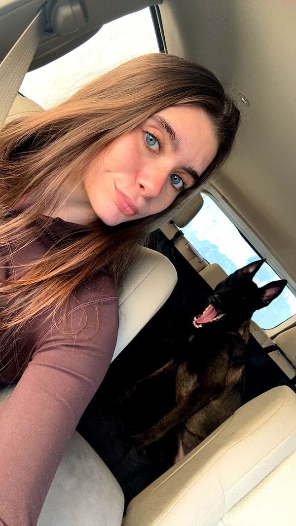 mckinley_1 image ~ Altpins