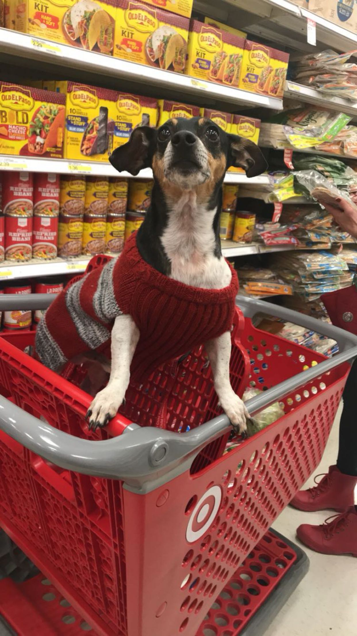 mckinley_1 snapchat image archive image