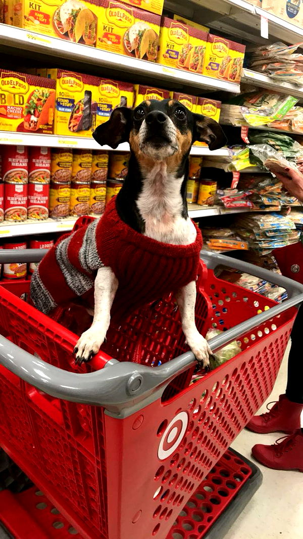 mckinley_1 image ~ Altpins