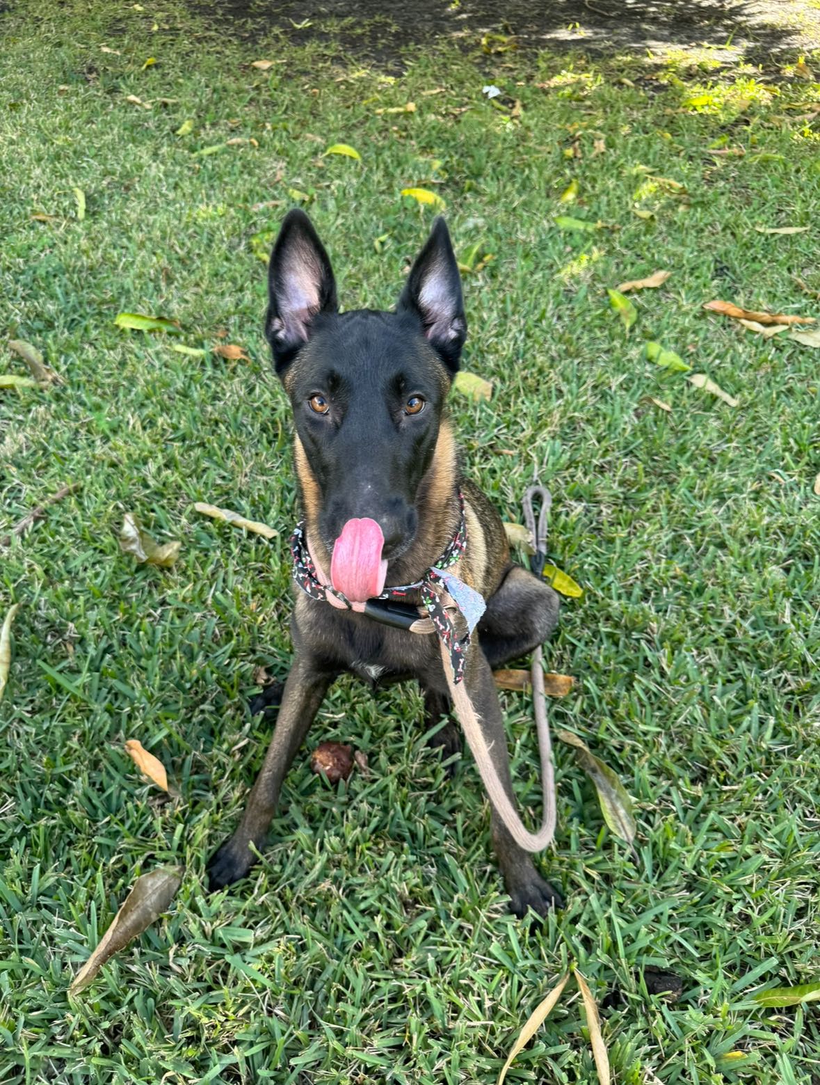 mckinley_1 snapchat image archive image