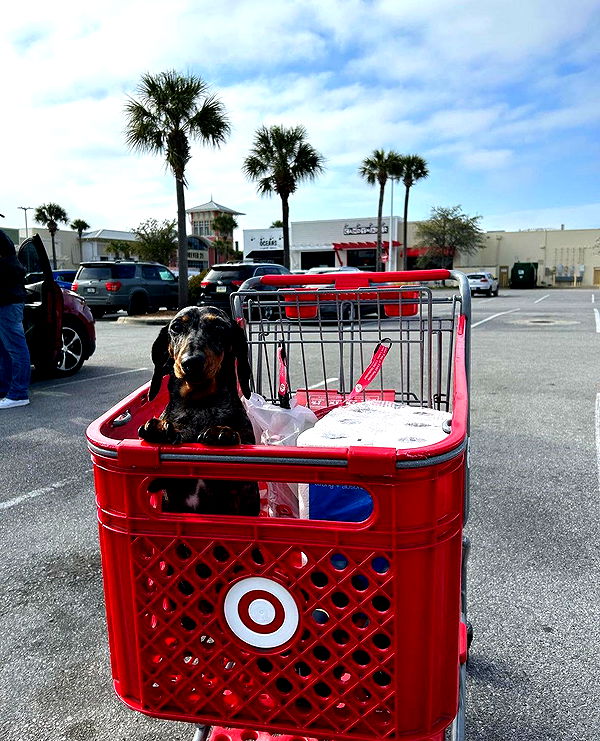 mckinley_1 image ~ Altpins