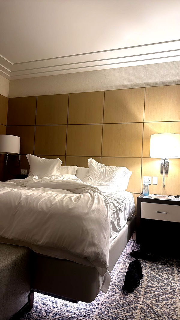 mckinley_1 image ~ Altpins