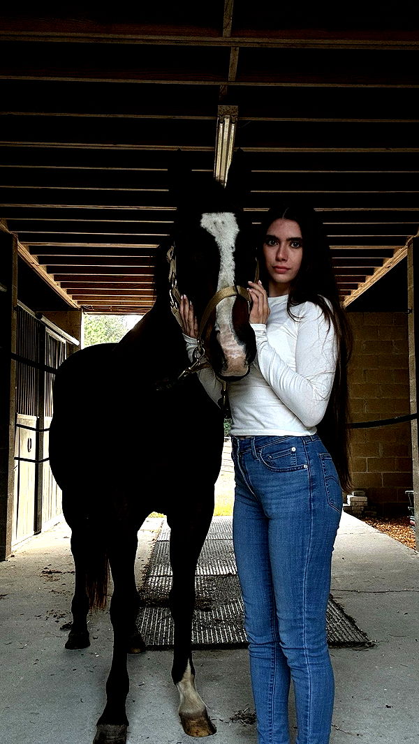 mckinley_1 image ~ Altpins