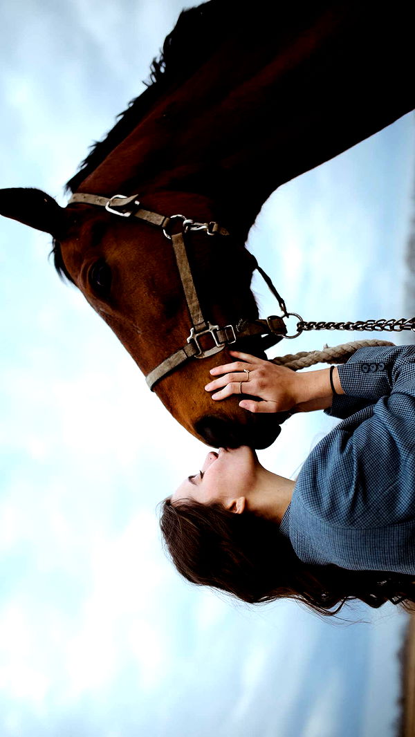 mckinley_1 image ~ Altpins