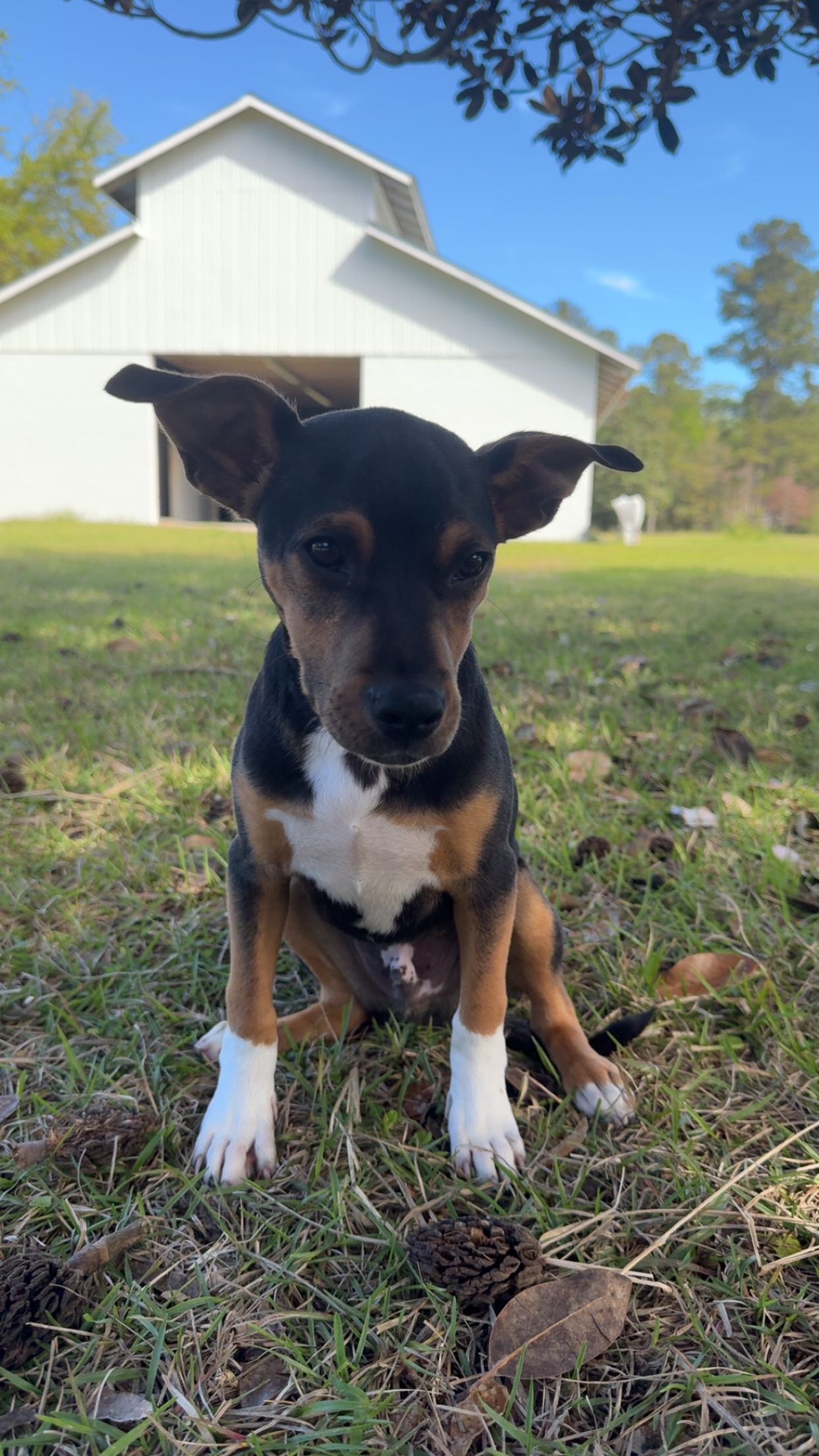 mckinley_1 snapchat image archive image