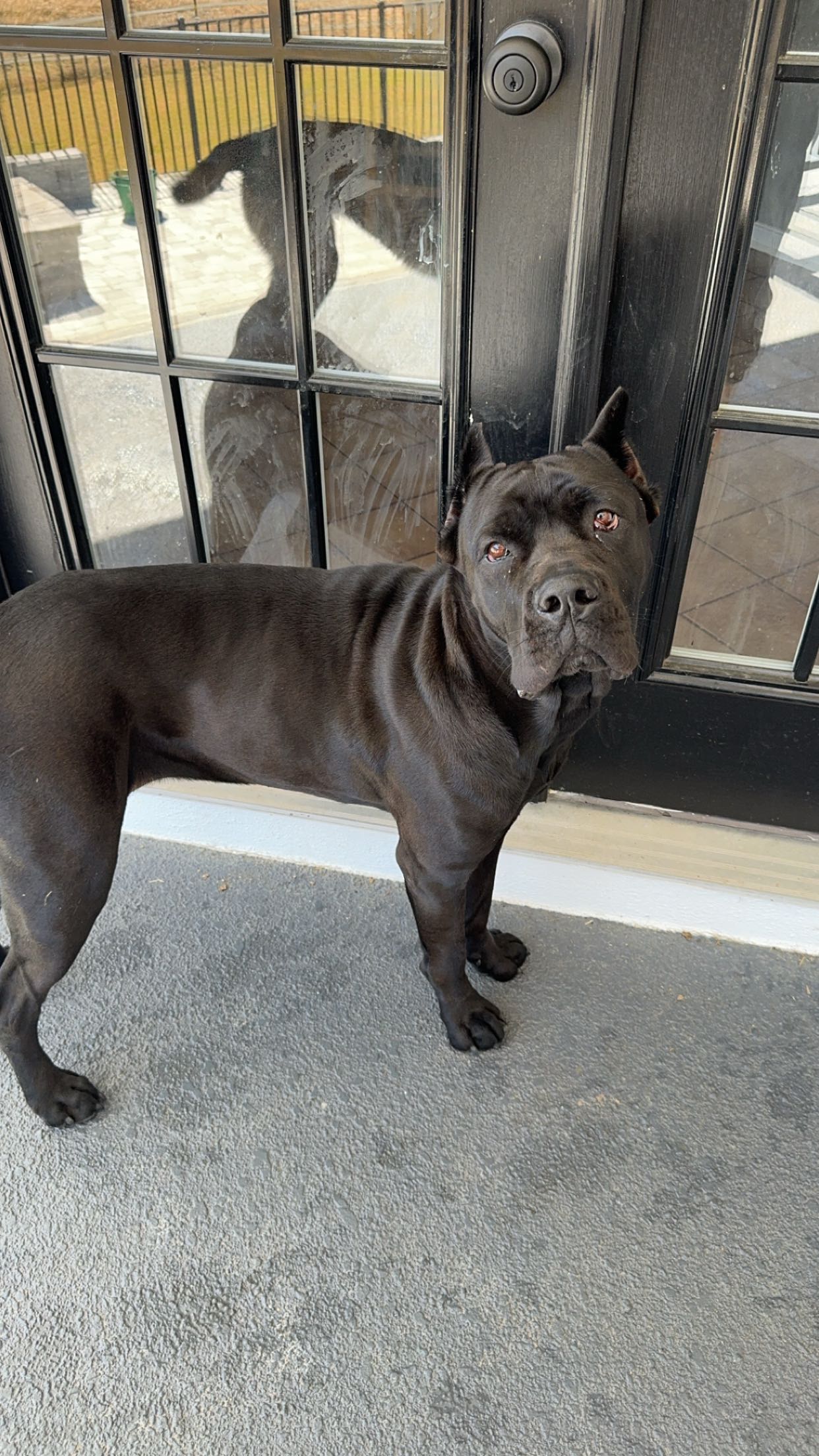 mckinley_1 snapchat image archive image