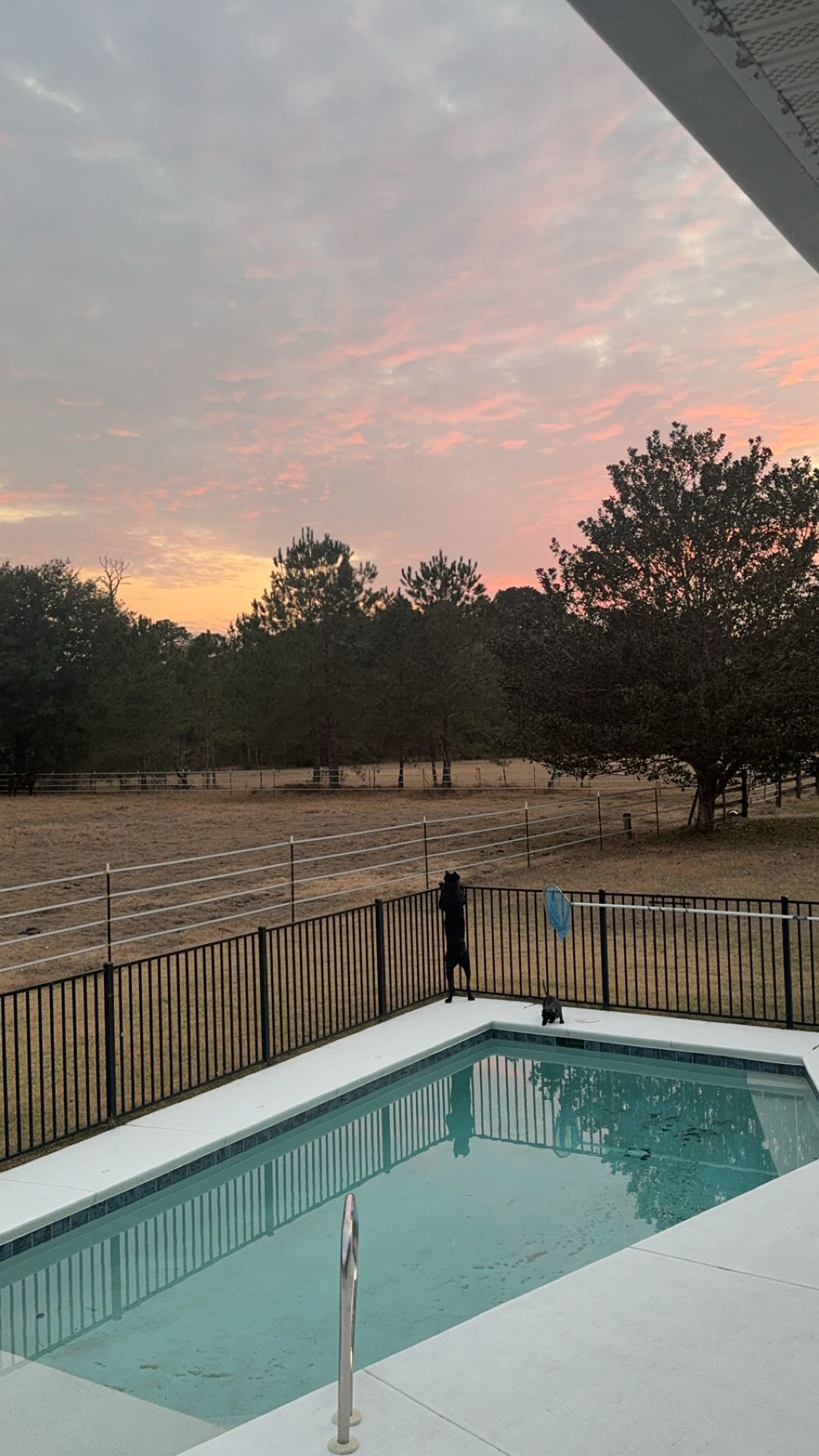 mckinley_1 snapchat image archive image