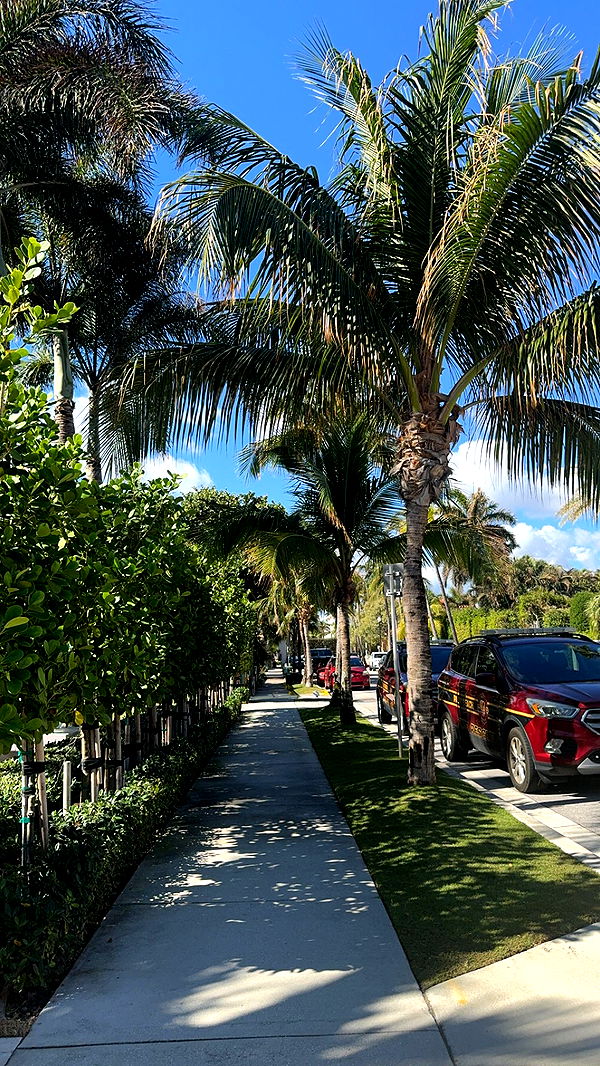 mckinley_1 image ~ Altpins