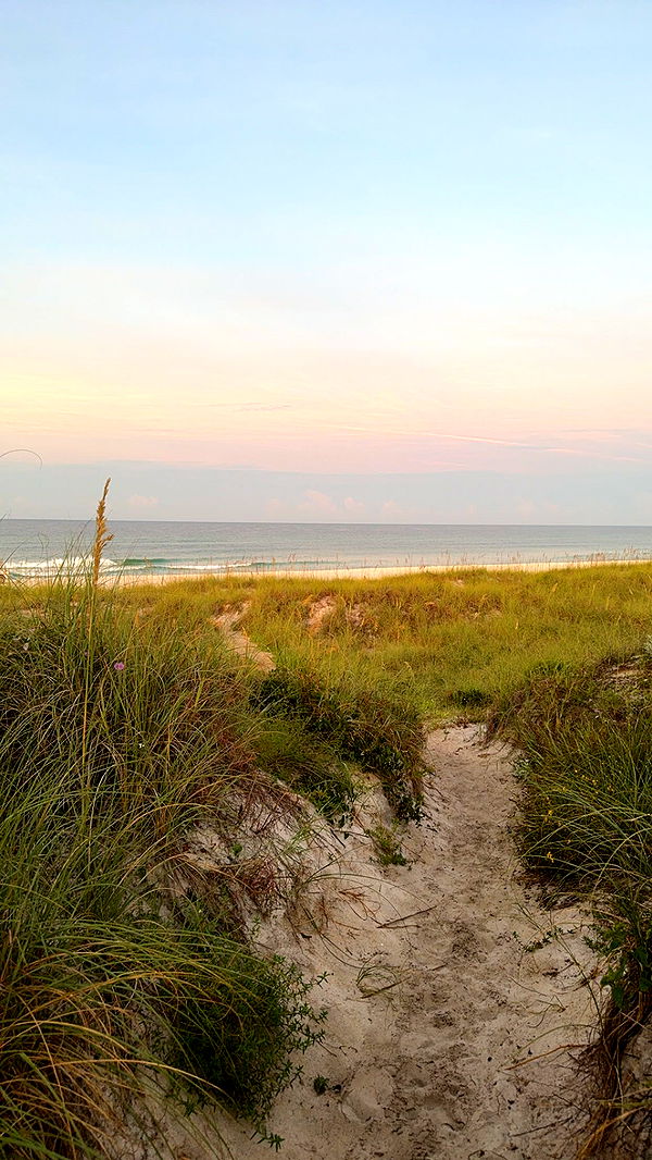 mckinley_1 image ~ Altpins