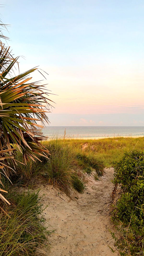 mckinley_1 image ~ Altpins