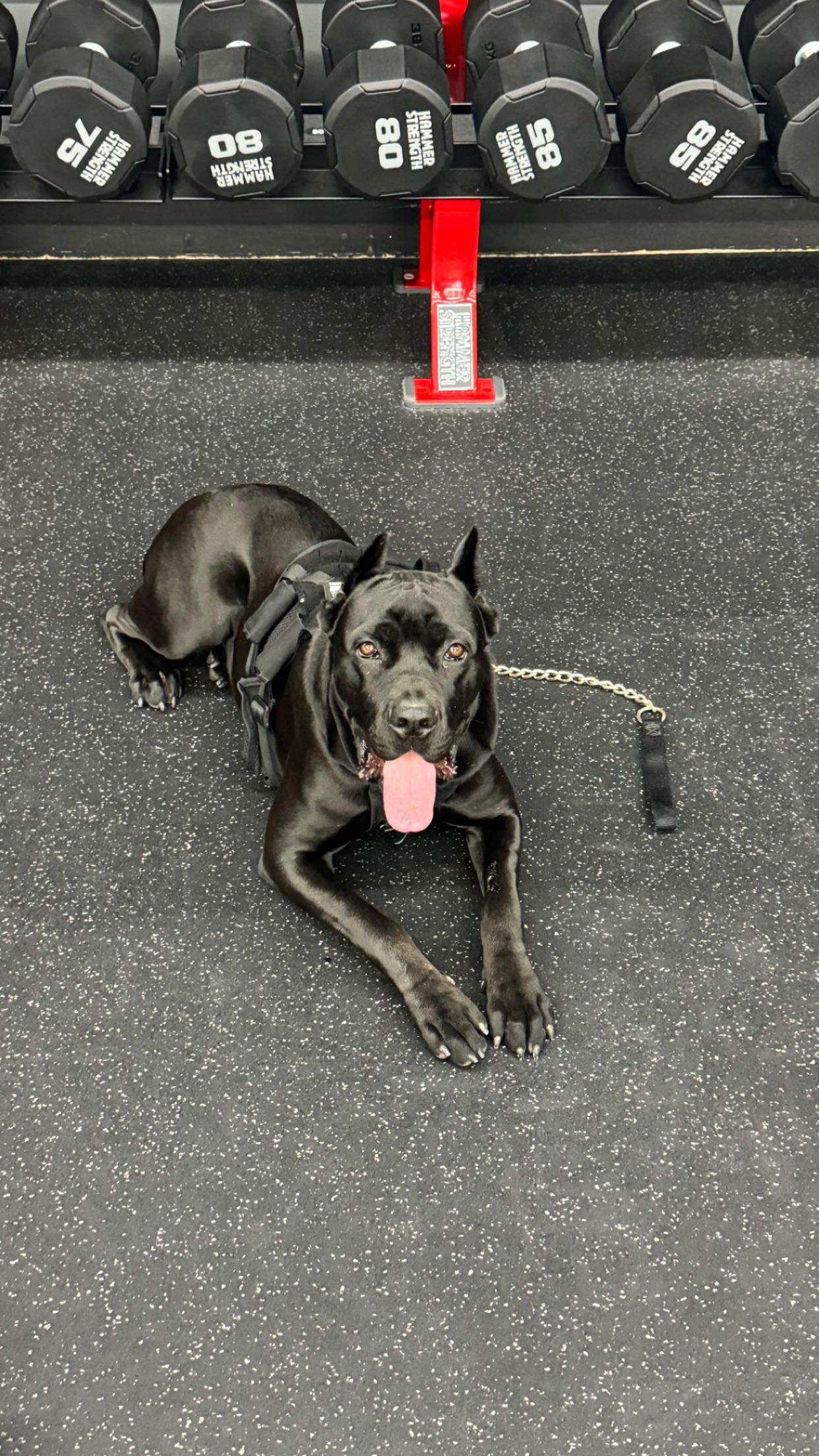 mckinley_1 snapchat image archive image