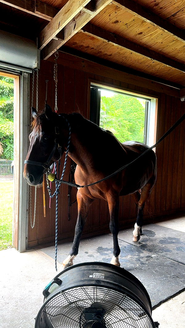 mckinley_1 image ~ Altpins