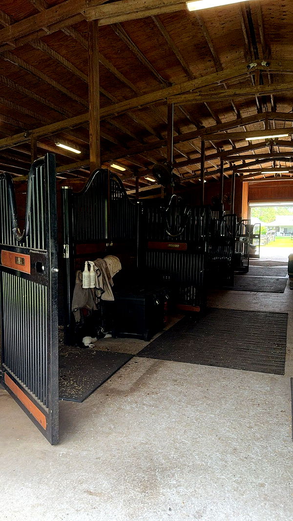 mckinley_1 image ~ Altpins