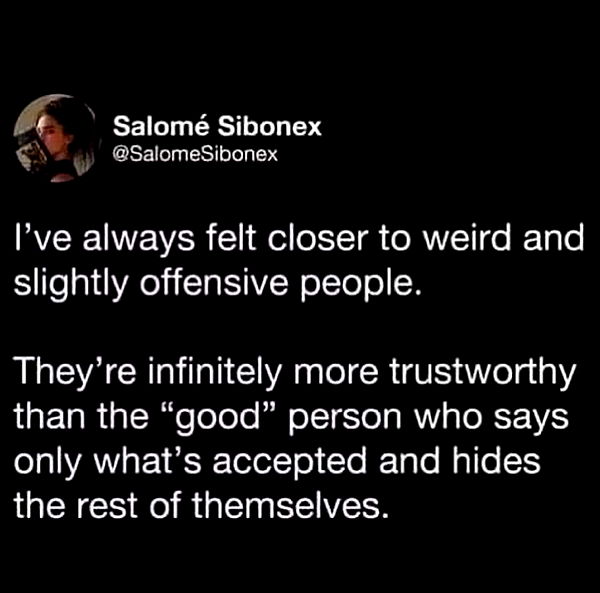 mckinley_1 image ~ Altpins