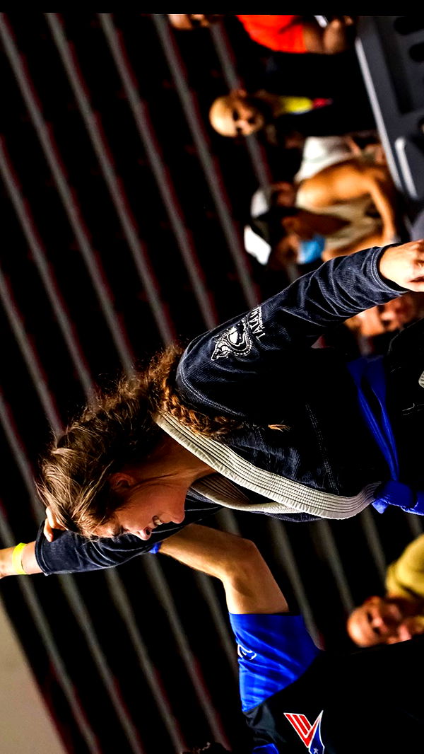 mckinley_1 image ~ Altpins