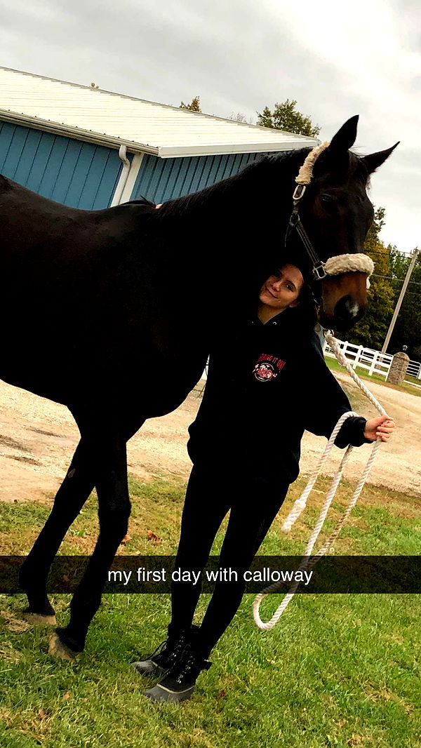 mckinley_1 image ~ Altpins