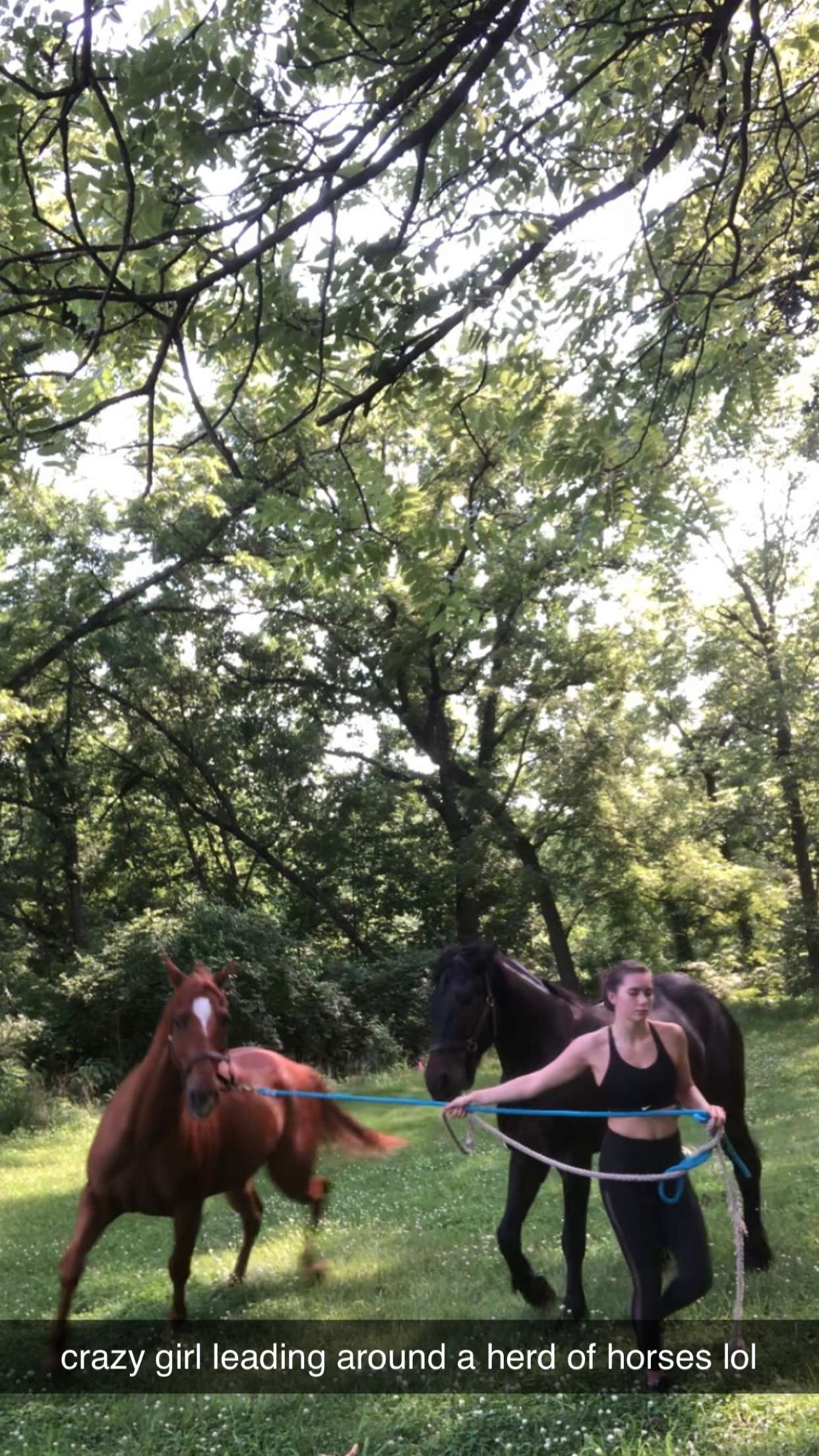 mckinley_1 snapchat image archive image