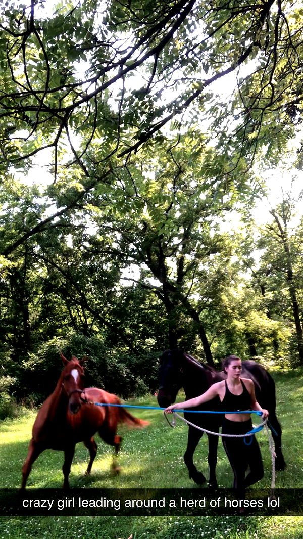 mckinley_1 image ~ Altpins