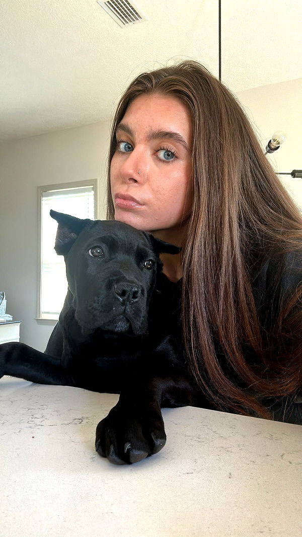 mckinley_1 image ~ Altpins