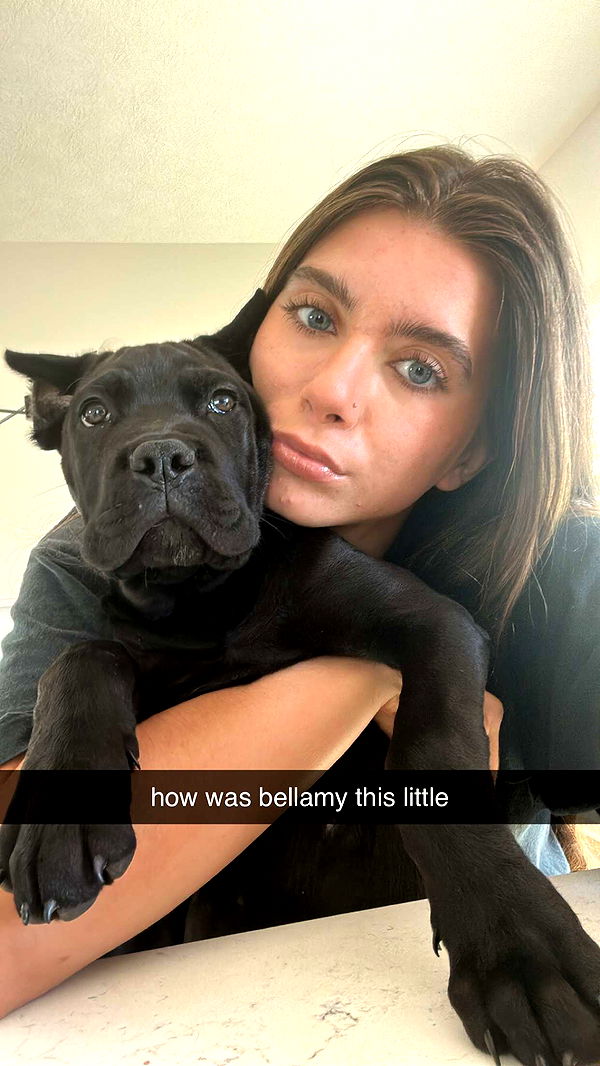 mckinley_1 image ~ Altpins