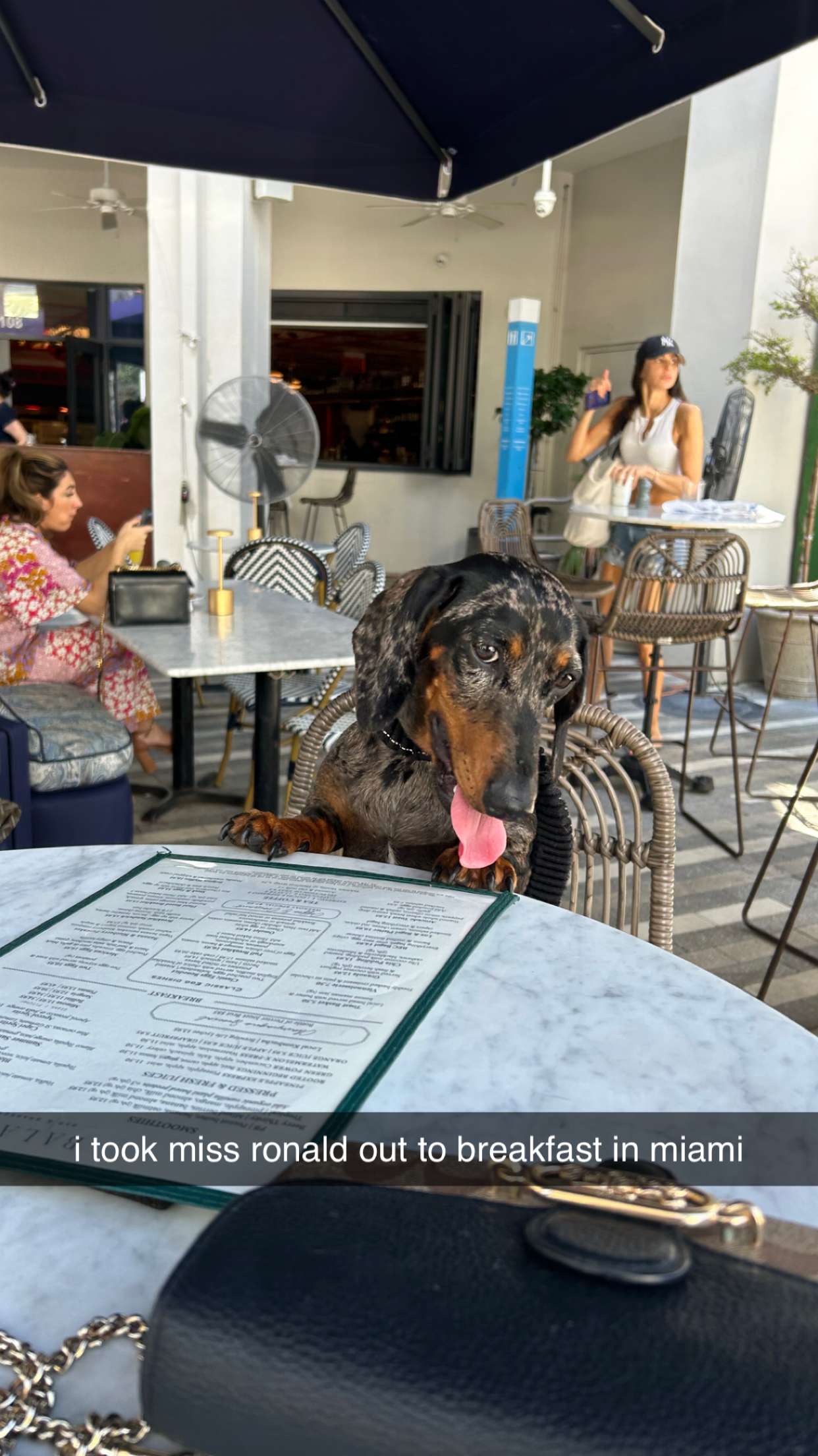 mckinley_1 snapchat image archive image