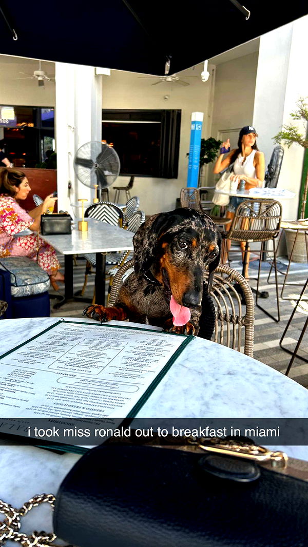 mckinley_1 image ~ Altpins