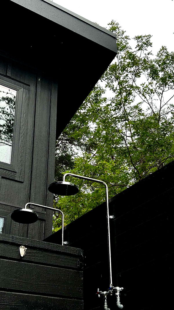 mckinley_1 image ~ Altpins