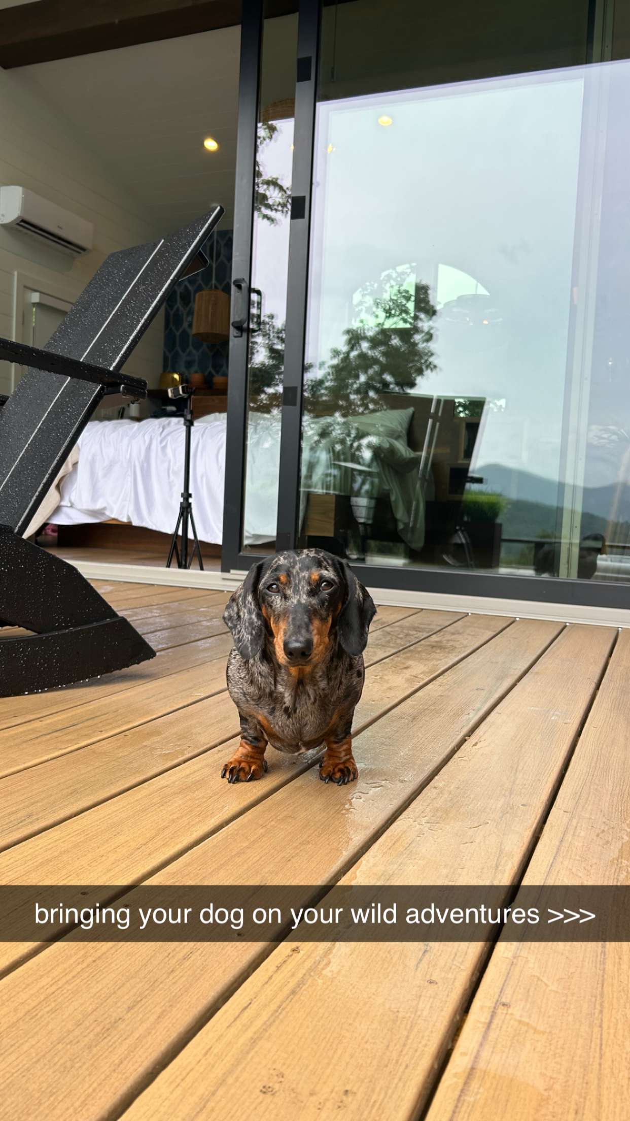 mckinley_1 snapchat image archive image