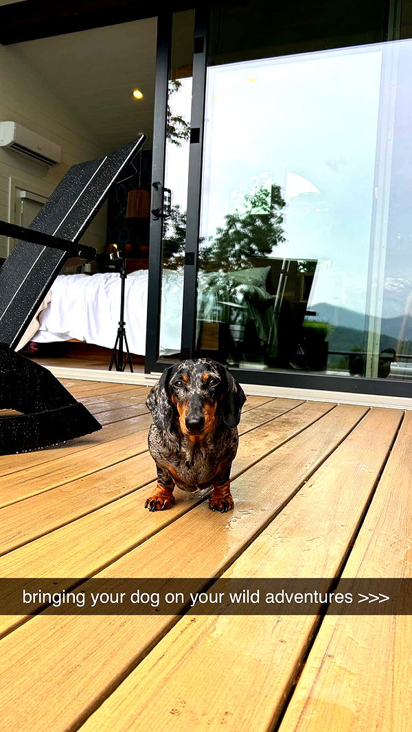 mckinley_1 image ~ Altpins