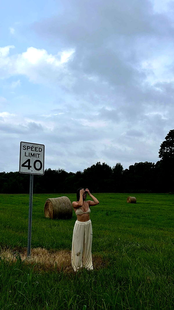 mckinley_1 image ~ Altpins