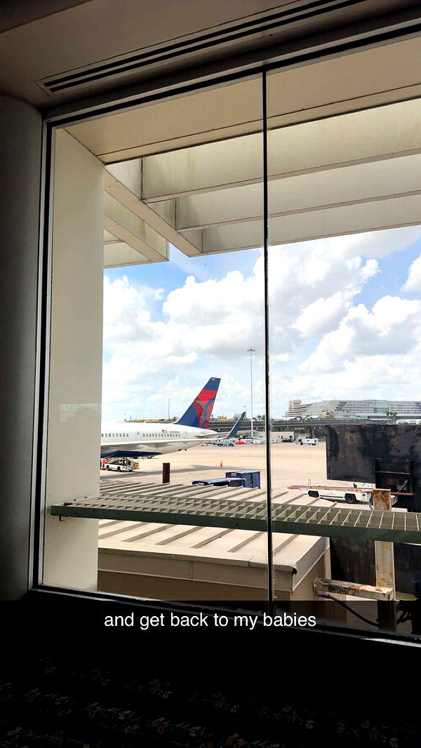 mckinley_1 image ~ Altpins